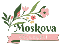 Moskova Çiçekçisi